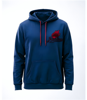 Hoodie-JT-PSGHD524202